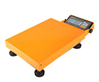 Shipping scale