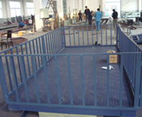 FC Series Cattle Scale