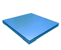 FF Series Floor Scale