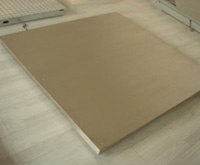 FWS Stainless Steel Platform Scale
