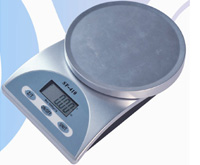 SF-410 Household Scale