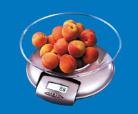 SF-500 Household Scale