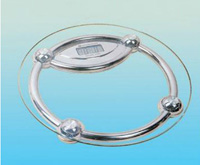 SF-300 Health Scale
