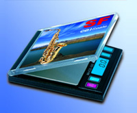 SF-CD Pocket Scale