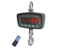 HM series crane scale