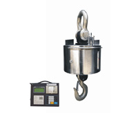 HW series crane scale